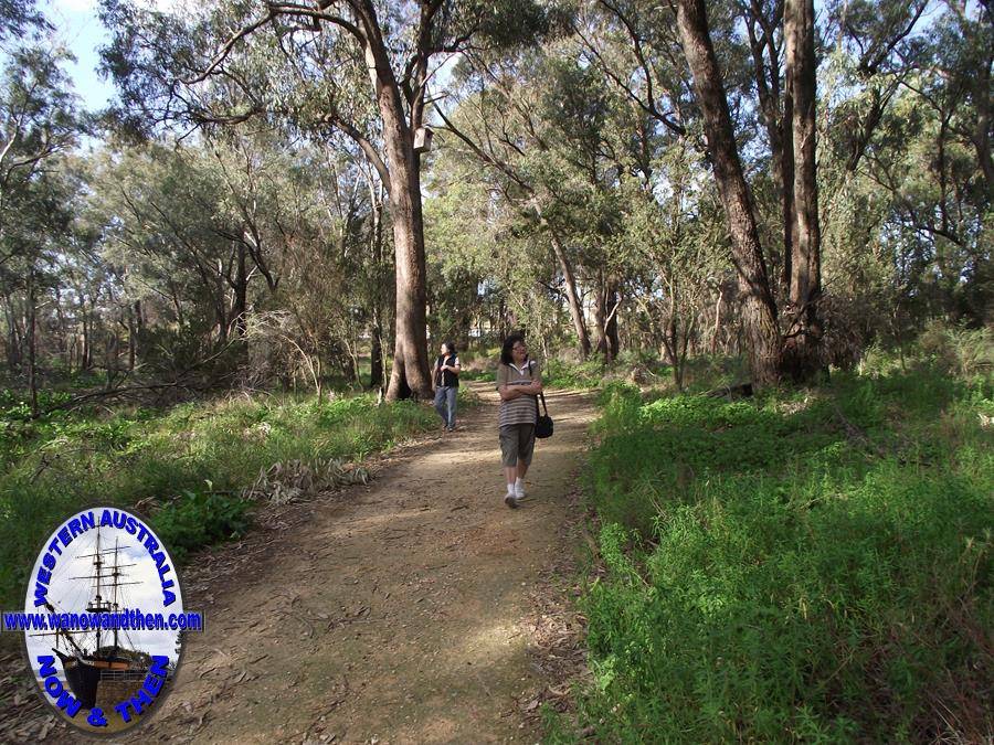 Walk Trails - Darling Range IN WESTERN AUSTRALIA